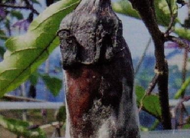 FsȁǏ