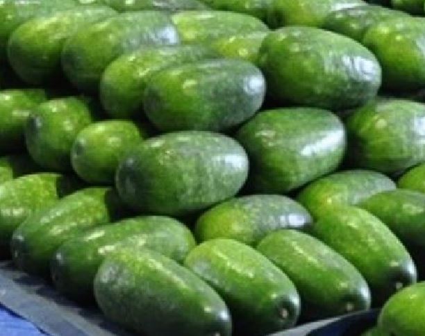 gEKɔaC̎ނƑ΍iÁj