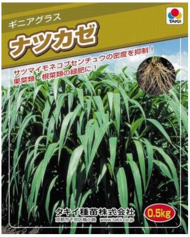 センチュウに効果があるお奨めの殺虫剤