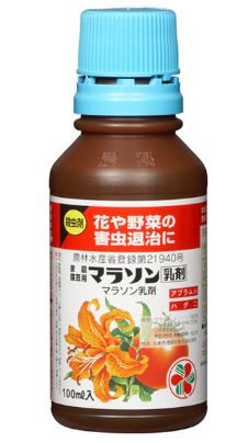 コガネムシに効果があるお奨めの殺虫剤